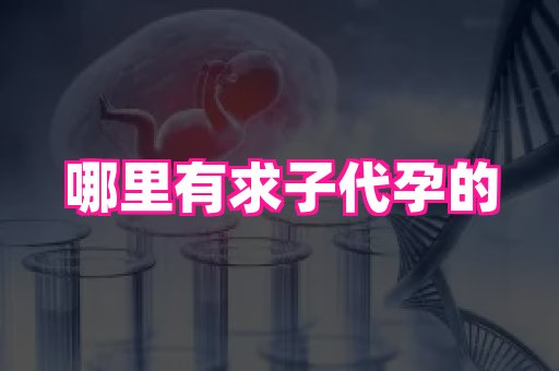 梦美助孕网 3
