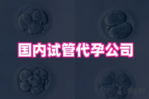 梦美助孕网 4